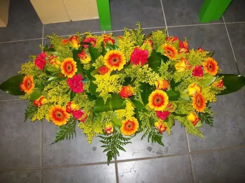 Raquette automne