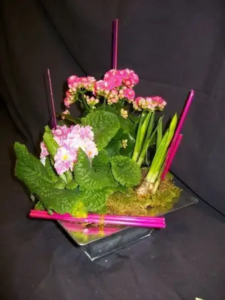 Petit jardin